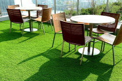Artificial grass - beautiful and green all year round